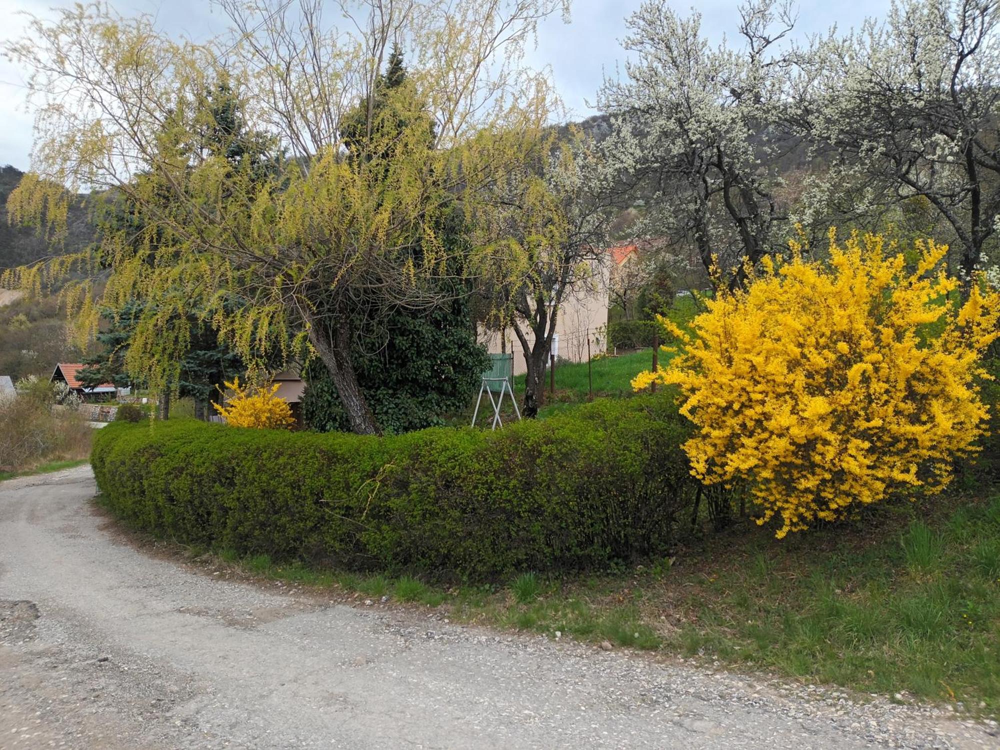 Villa Evetes Jablonov nad Turnou Exterior foto